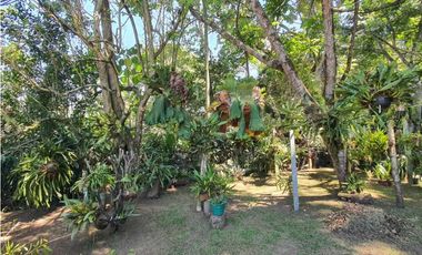 Agradable Finca En Venta rea 19.000 m2 Vda.Santa Barbara Arbeláez.