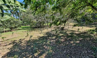 Agradable Finca En Venta rea 19.000 m2 Vda.Santa Barbara Arbeláez.