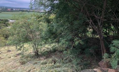 lote en venta en parcelacion campestre laguna seca. Cod V107326