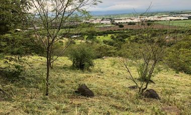 lote en venta en parcelacion campestre laguna seca. Cod V107326