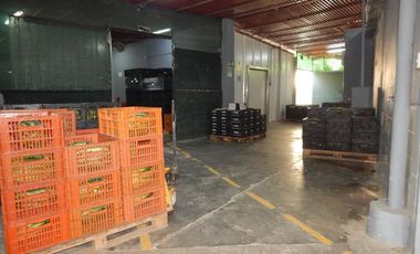 bodega en venta en malambo. Cod V88675