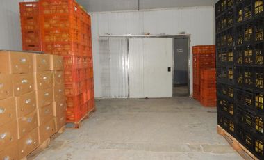 bodega en venta en malambo. Cod V88675