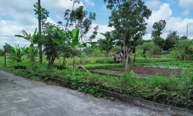 Rumah Super Terjangkau di Selatan Uii