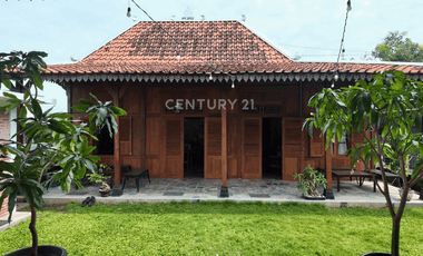 Rumah Spesial Klasik Dengan Pendopo Dan Limasan Yang Luas