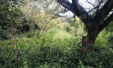 lote en venta en santa ana. Cod V14366