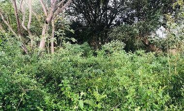 lote en venta en santa ana. Cod V14366