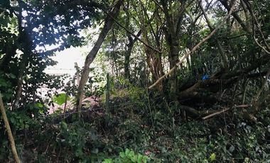 lote en venta en santa ana. Cod V14366