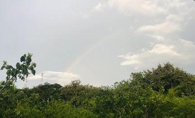 lote en venta en santa ana. Cod V14366