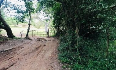 lote en venta en santa ana. Cod V14366