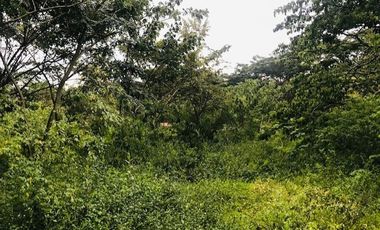 lote en venta en santa ana. Cod V14366