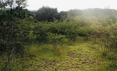 lote en venta en santa ana. Cod V14366