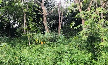 lote en venta en santa ana. Cod V14366