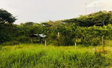 lote en venta en santa ana. Cod V14366