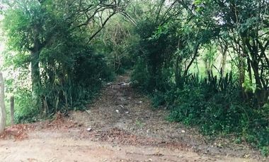 lote en venta en santa ana. Cod V14366