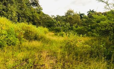 lote en venta en santa ana. Cod V14366