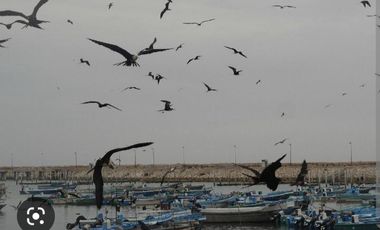 VENTA TERRENO VIA  ANCONCITO-PUNTA CARNERO (AGE)