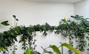 apartamento en venta en santa teresita. Cod V108240