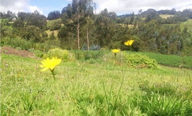 SE VENDE HERMOSA CASA LOTE EN SAN JORGE ZIPAQUIR