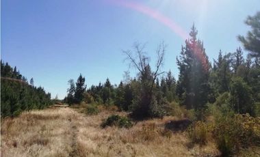 R&A Vende 4 Terrenos camino a Santa Clara