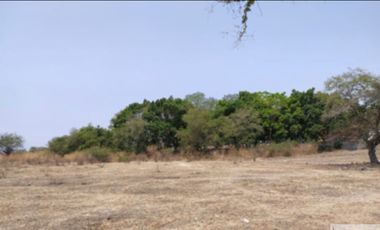 A un paso del Lago de Tequesquitengo