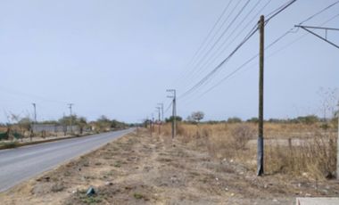 A un paso del Lago de Tequesquitengo