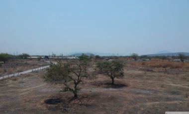 A un paso del Lago de Tequesquitengo