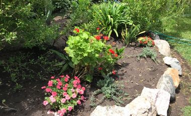 Propiedad de 10800m²- Casa princ. 5 amb.-Casa Huesp.3 amb.Casa Caseros 3 amb