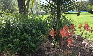 Propiedad de 10800m²- Casa princ. 5 amb.-Casa Huesp.3 amb.Casa Caseros 3 amb