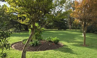 Propiedad de 10800m²- Casa princ. 5 amb.-Casa Huesp.3 amb.Casa Caseros 3 amb