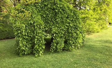 Propiedad de 10800m²- Casa princ. 5 amb.-Casa Huesp.3 amb.Casa Caseros 3 amb