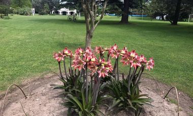 Propiedad de 10800m²- Casa princ. 5 amb.-Casa Huesp.3 amb.Casa Caseros 3 amb