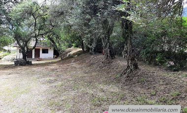 Quinta de Venta – Gualaceo – 1 héctarea (Q-114)