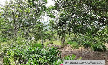 Quinta de Venta – Gualaceo – 1 héctarea (Q-114)