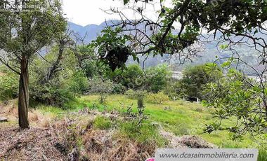 Quinta de Venta – Gualaceo – 1 héctarea (Q-114)