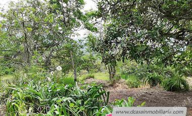 Quinta de Venta – Gualaceo – 1 héctarea (Q-114)