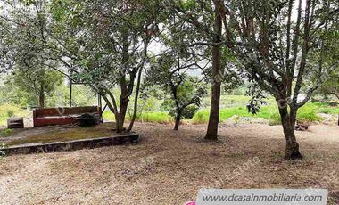 Quinta de Venta – Gualaceo – 1 héctarea (Q-114)