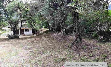 Quinta de Venta – Gualaceo – 1 héctarea (Q-114)