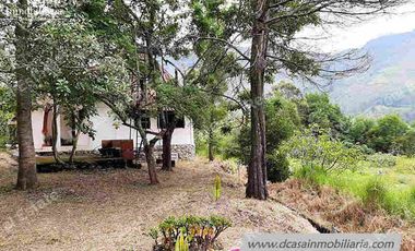 Quinta de Venta – Gualaceo – 1 héctarea (Q-114)