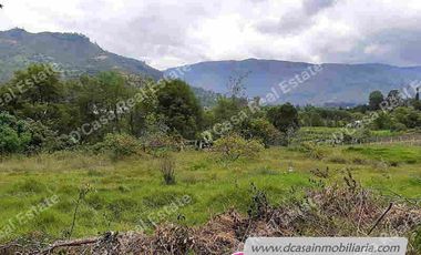 Quinta de Venta – Gualaceo – 1 héctarea (Q-114)