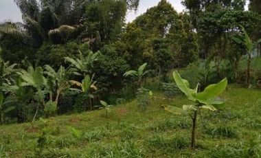 Tanah Kebun Matang dii Kolonel Masturi Atas Cimahi | DIANELSA