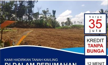 Tanah dijual di Bangunrejo, Alasmalang, Banyuwangi, Jawa Timur