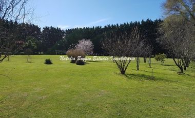 Miramar Excelente CASA QUINTA