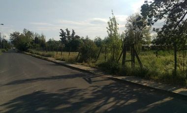 OPORTUNIDAD PARA EDIFICAR LOCAL