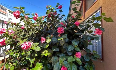 Se vende casa en excelente estado en Viña del Mar