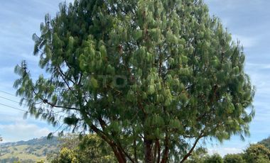 lote en venta en piedra gorda. Cod V5686