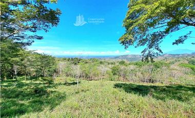 VENDO CASA Y UNA HECTAREA EN GUALACA