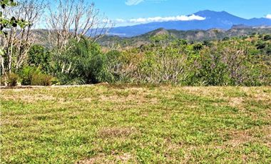 VENDO CASA Y UNA HECTAREA EN GUALACA