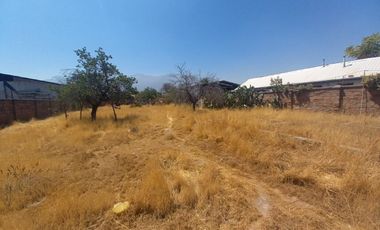 Se vende terreno 1000 metros en calle Argentina.