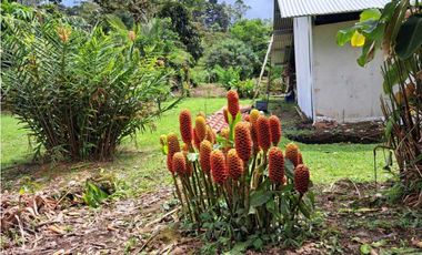 VENDO HOSTAL FUNCIONANDO EN CORDILLERA