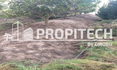 Venta Parcela 5.000M2 en Condominio, Lago Rapel.